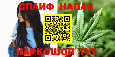 spice Обь