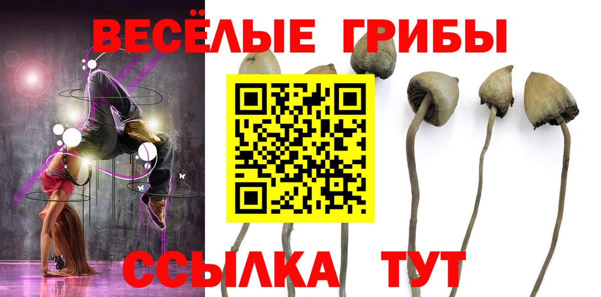 Галлюциногенные грибы мухоморы  Вход с VPN  Серов 