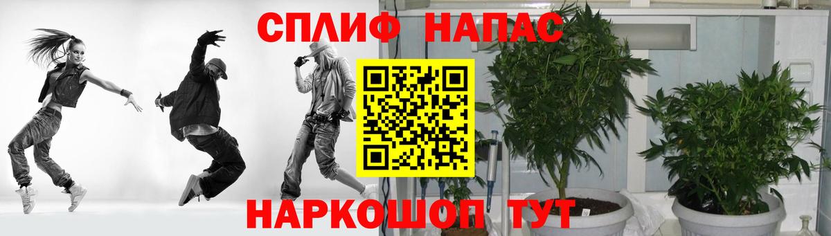 Каннабис Amnesia Серов